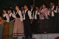 /album/x-festival-de-folclore/a216-344947665579956-1561401343-n-jpg/